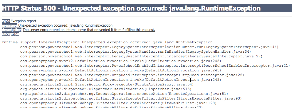 PS Java Runtime Error
